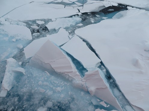 sea ice